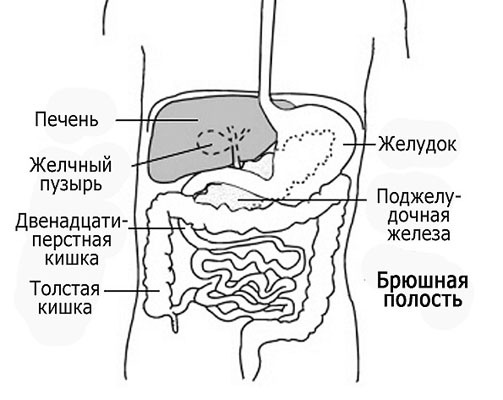 Заболевания печени: симптомы и лечение