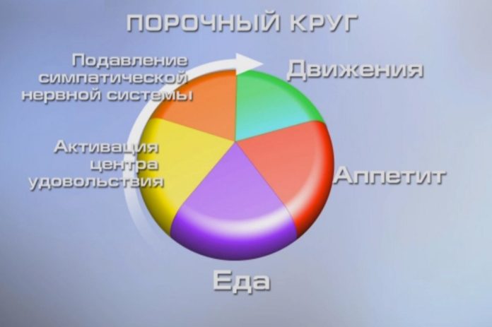 Проект сбрось лишнее с еленой малышевой официальный сайт